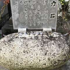 投稿日:2019年12月9日 写真