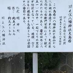 投稿日:2019年12月9日 写真