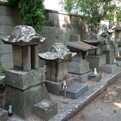 投稿日:2024年8月13日 写真