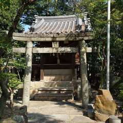 投稿日:2024年8月13日 写真