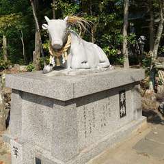投稿日:2024年8月13日 写真