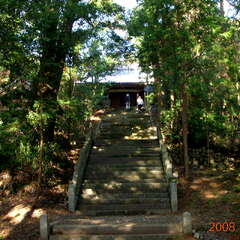 八幡神社(投稿日:2025年10月27日) 写真