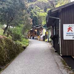 投稿日:2015年4月26日 写真