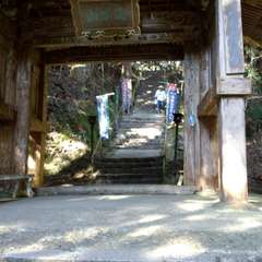 投稿日:2017年5月1日 写真