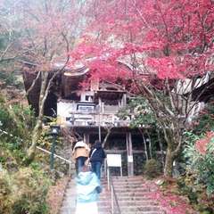 投稿日:2021年11月21日 写真