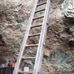 投稿日:2021年11月21日 写真