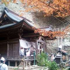 投稿日:2021年11月21日 写真