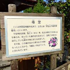 投稿日:2025年4月27日 写真