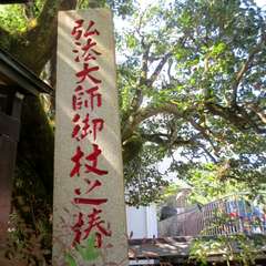 投稿日:2015年8月23日 写真