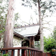 投稿日:2025年7月14日 写真