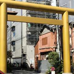 投稿日:2018年3月13日 写真