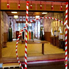 投稿日:2025年7月14日 写真