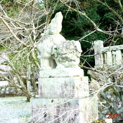 投稿日:2025年8月14日 写真