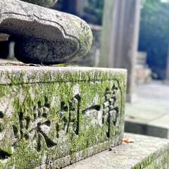 投稿日:2025年12月4日 写真