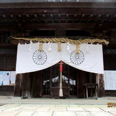 投稿日:2025年7月14日 写真