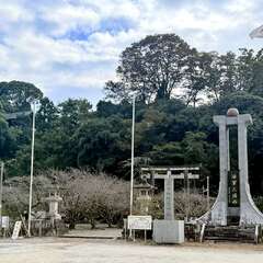 投稿日:2025年12月4日 写真