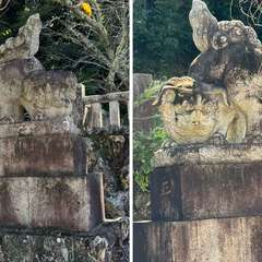 投稿日:2024年9月15日 写真