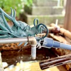 投稿日:2025年12月4日 写真