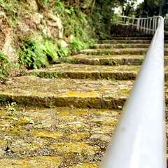 投稿日:2025年12月4日 写真