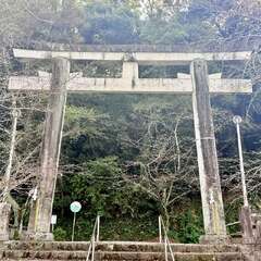 投稿日:2025年12月4日 写真