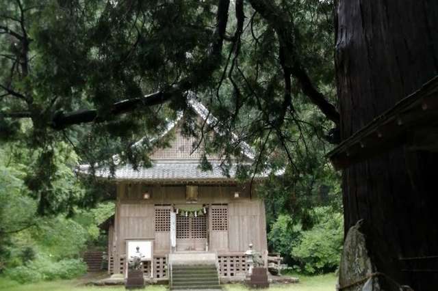 写真