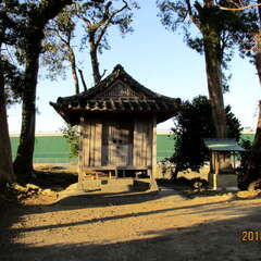 伊都多神社(投稿日:2025年7月14日) 写真