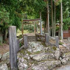写真