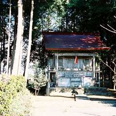 總社(投稿日:2025年10月13日) 写真