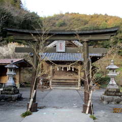 若宮神社(投稿日:2025年7月15日) 写真
