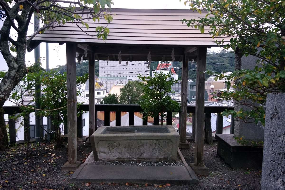 写真