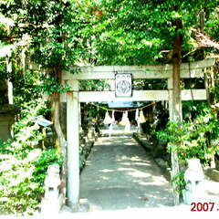 多気・坂本神社(投稿日:2025年8月14日) 写真