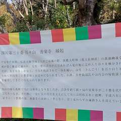 投稿日:2024年12月15日 写真