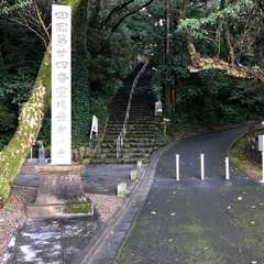 投稿日:2020年9月20日 写真