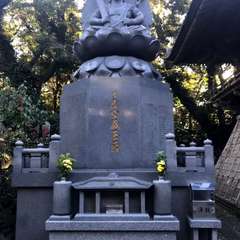 投稿日:2020年9月20日 写真