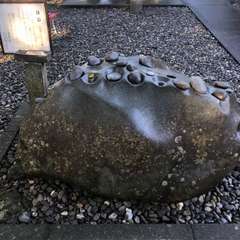 投稿日:2020年9月20日 写真