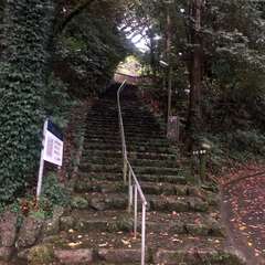 投稿日:2024年11月1日 写真