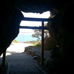 投稿日:2022年1月3日 写真