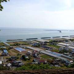 写真