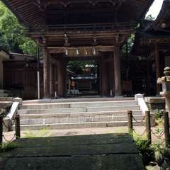 投稿日:2017年7月5日 写真