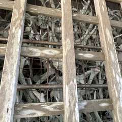 投稿日:2024年4月8日 写真