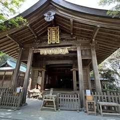 投稿日:2024年4月7日 写真