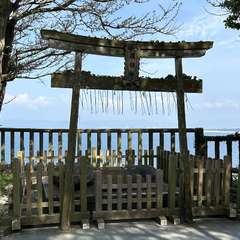 投稿日:2024年4月8日 写真