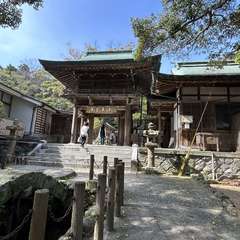 投稿日:2024年4月8日 写真