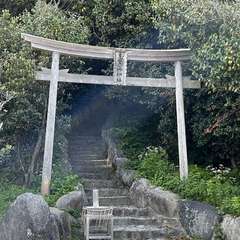 投稿日:2024年4月7日 写真