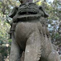 投稿日:2024年4月7日 写真