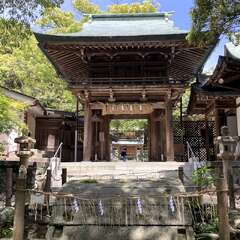 投稿日:2025年5月5日 写真