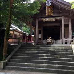 投稿日:2017年7月5日 写真