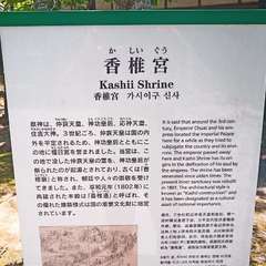 投稿日:2021年5月31日 写真