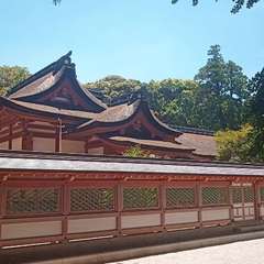 投稿日:2021年5月31日 写真