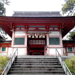 投稿日:2019年12月17日 写真